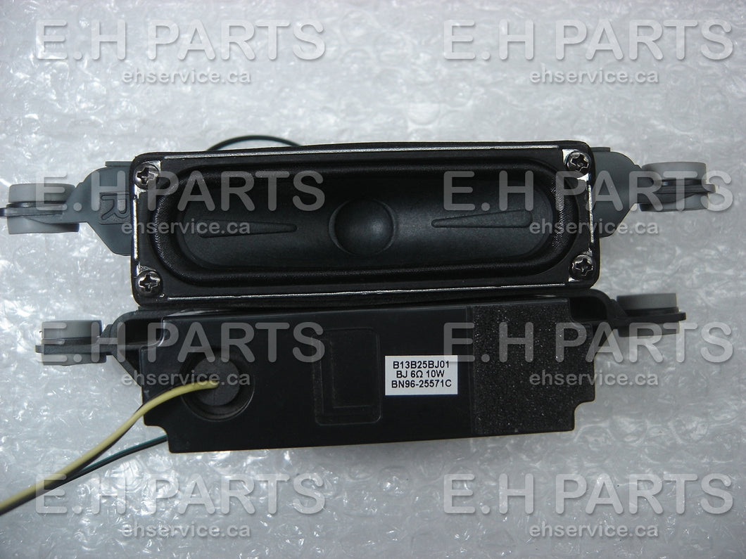 Samsung BN96-25571C Speaker set - EH Parts