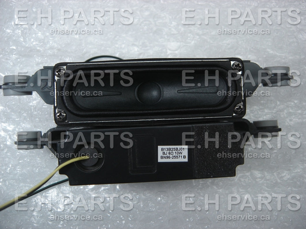 Samsung BN96-25571B Speaker set EHParts.com